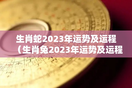 生肖蛇2023年运势及运程（生肖兔2023年运势及运程）