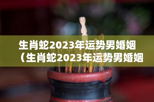 生肖蛇2023年运势男婚姻（生肖蛇2023年运势男婚姻如何）