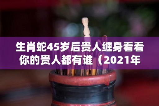 生肖蛇45岁后贵人缠身看看你的贵人都有谁（2021年生肖蛇的贵人生肖）