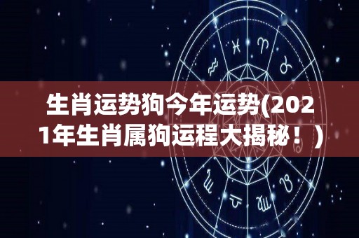 生肖运势狗今年运势(2021年生肖属狗运程大揭秘！)
