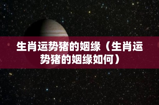 生肖运势猪的姻缘（生肖运势猪的姻缘如何）