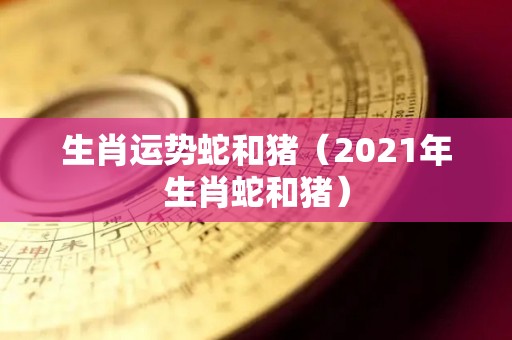 生肖运势蛇和猪（2021年生肖蛇和猪）