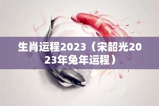 生肖运程2023（宋韶光2023年兔年运程）