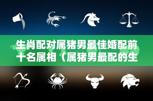 生肖配对属猪男最佳婚配前十名属相（属猪男最配的生肖）