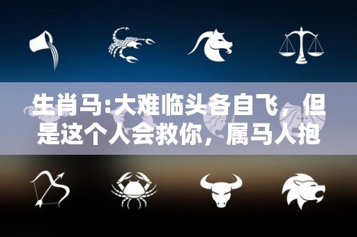 生肖马:大难临头各自飞，但是这个人会救你，属马人抱紧（属马大劫）