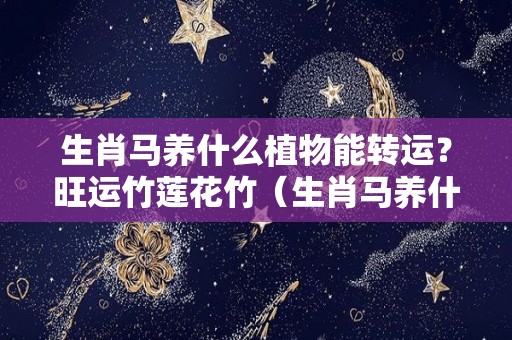 生肖马养什么植物能转运？旺运竹莲花竹（生肖马养什么植物可以旺财）