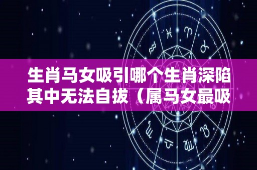 生肖马女吸引哪个生肖深陷其中无法自拔（属马女最吸引哪种男人）