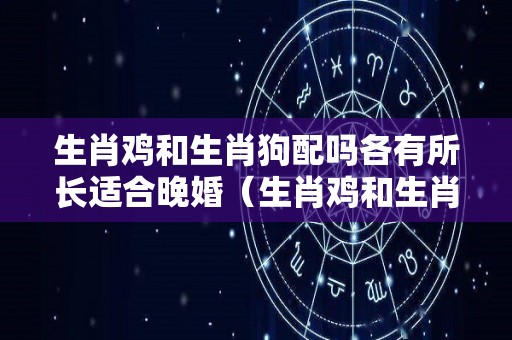 生肖鸡和生肖狗配吗各有所长适合晚婚（生肖鸡和生肖狗的婚姻好不好）
