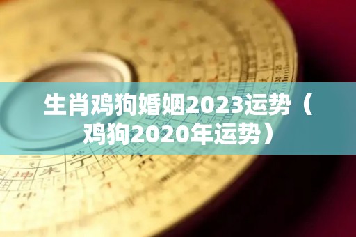 生肖鸡狗婚姻2023运势（鸡狗2020年运势）