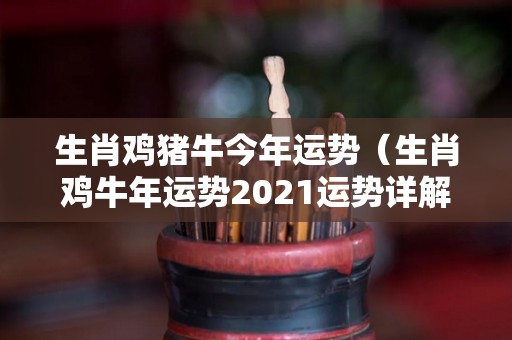 生肖鸡猪牛今年运势（生肖鸡牛年运势2021运势详解）