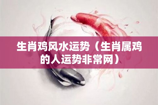 生肖鸡风水运势（生肖属鸡的人运势非常网）