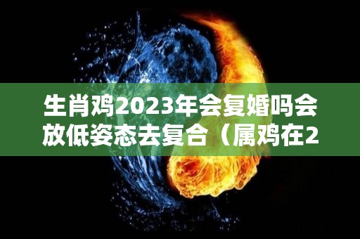 生肖鸡2023年会复婚吗会放低姿态去复合（属鸡在2023年）