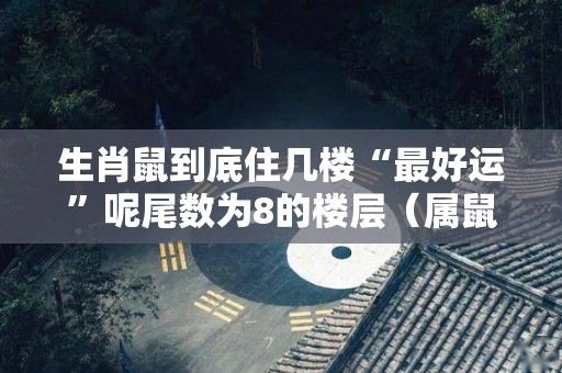 生肖鼠到底住几楼“最好运”呢尾数为8的楼层（属鼠的住几楼最好?）