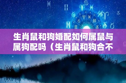 生肖鼠和狗婚配如何属鼠与属狗配吗（生肖鼠和狗合不合）