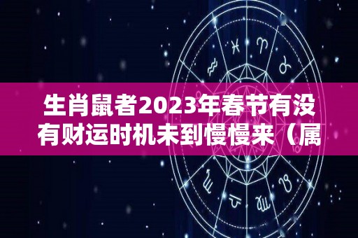 生肖鼠者2023年春节有没有财运时机未到慢慢来（属鼠2023年运势及运程2023年属鼠人的全年每月运势）