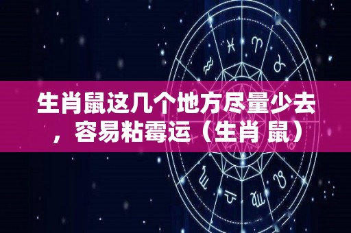 生肖鼠这几个地方尽量少去，容易粘霉运（生肖 鼠）