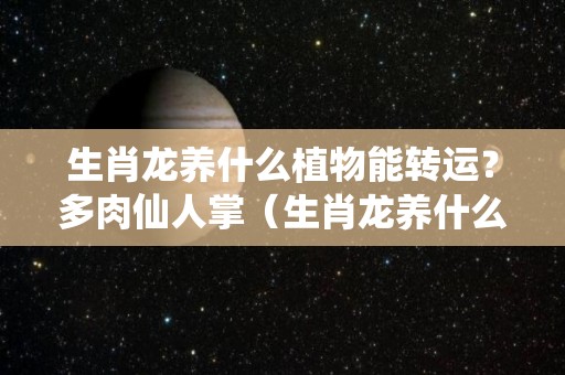 生肖龙养什么植物能转运？多肉仙人掌（生肖龙养什么花招财）