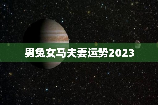 男兔女马夫妻运势2023