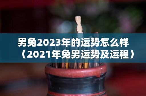 男兔2023年的运势怎么样（2021年兔男运势及运程）