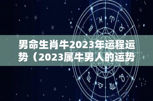 男命生肖牛2023年运程运势（2023属牛男人的运势和财运）