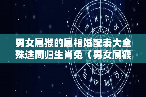 男女属猴的属相婚配表大全殊途同归生肖兔（男女属猴的人在一起）