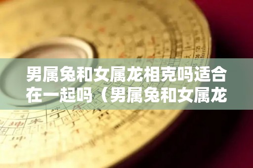 男属兔和女属龙相克吗适合在一起吗（男属兔和女属龙属相好不好）