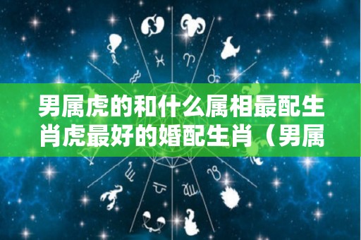 男属虎的和什么属相最配生肖虎最好的婚配生肖（男属虎和什么属相最配夫妻）