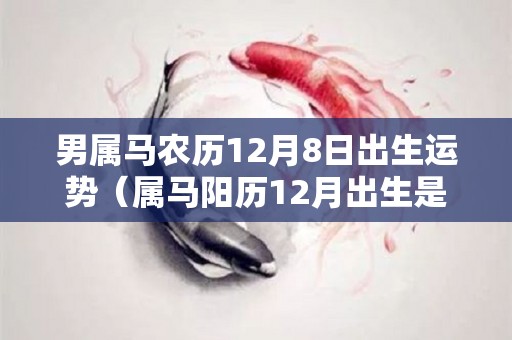 男属马农历12月8日出生运势（属马阳历12月出生是什么命）