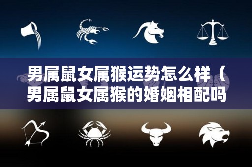 男属鼠女属猴运势怎么样（男属鼠女属猴的婚姻相配吗）
