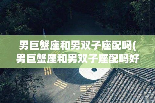 男巨蟹座和男双子座配吗(男巨蟹座和男双子座配吗好吗)