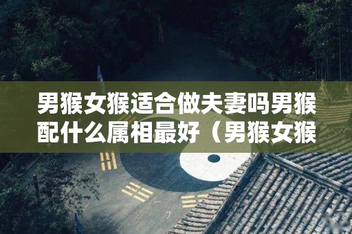 男猴女猴适合做夫妻吗男猴配什么属相最好（男猴女猴配婚姻好不好）