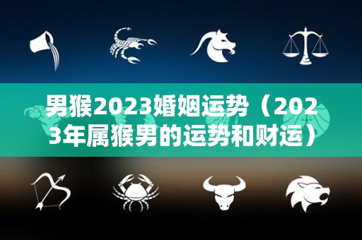 男猴2023婚姻运势（2023年属猴男的运势和财运）