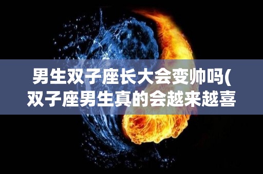 男生双子座长大会变帅吗(双子座男生真的会越来越喜欢你)