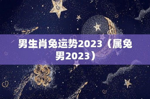 男生肖兔运势2023（属兔男2023）