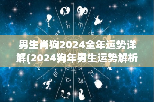 男生肖狗2024全年运势详解(2024狗年男生运势解析)