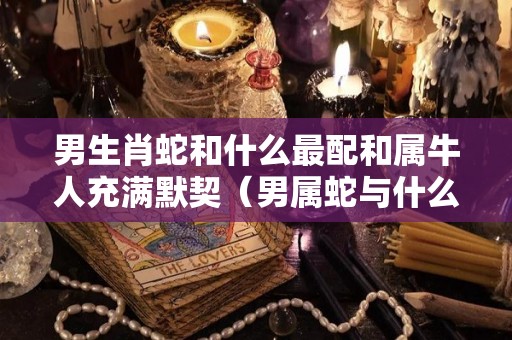 男生肖蛇和什么最配和属牛人充满默契（男属蛇与什么生肖最配）