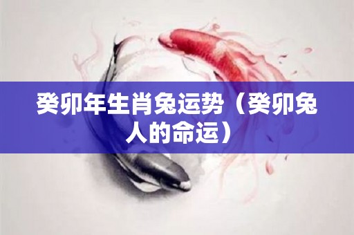 癸卯年生肖兔运势（癸卯兔人的命运）