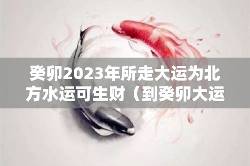 癸卯2023年所走大运为北方水运可生财（到癸卯大运是桃花吗）
