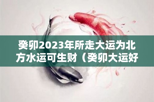 癸卯2023年所走大运为北方水运可生财（癸卯大运好不好）