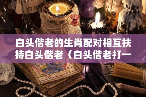 白头偕老的生肖配对相互扶持白头偕老（白头偕老打一个数字）