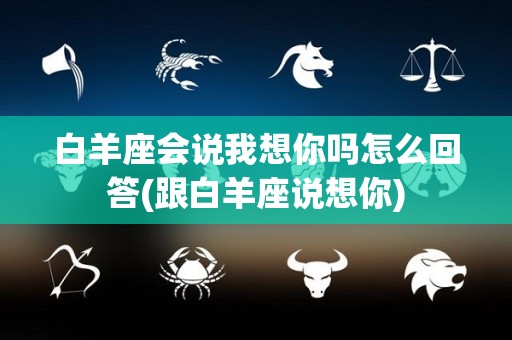 白羊座会说我想你吗怎么回答(跟白羊座说想你)