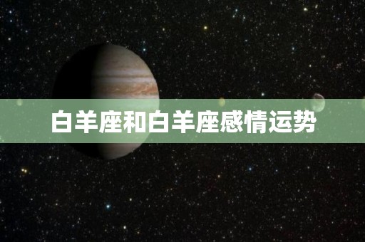 白羊座和白羊座感情运势