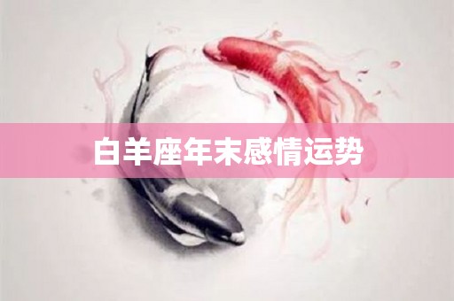 白羊座年末感情运势