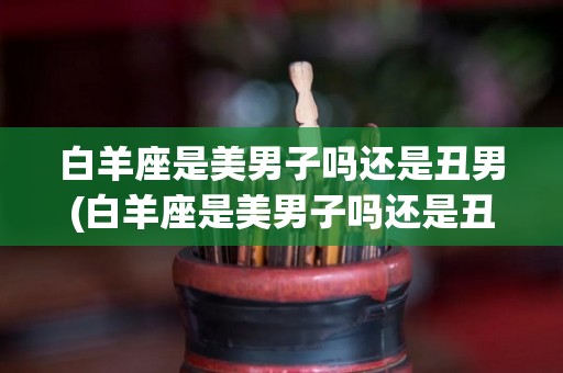 白羊座是美男子吗还是丑男(白羊座是美男子吗还是丑男子)