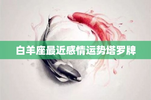 白羊座最近感情运势塔罗牌