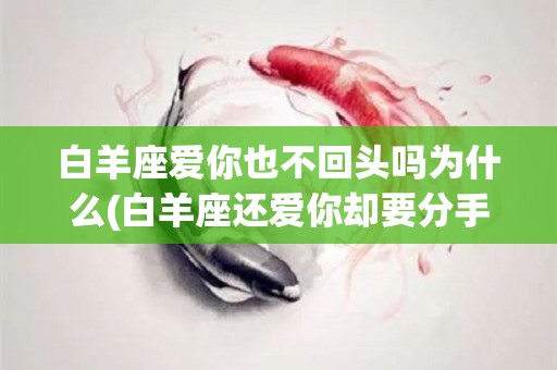 白羊座爱你也不回头吗为什么(白羊座还爱你却要分手怎么办)