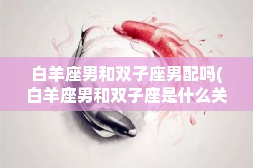 白羊座男和双子座男配吗(白羊座男和双子座是什么关系)