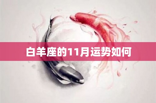 白羊座的11月运势如何