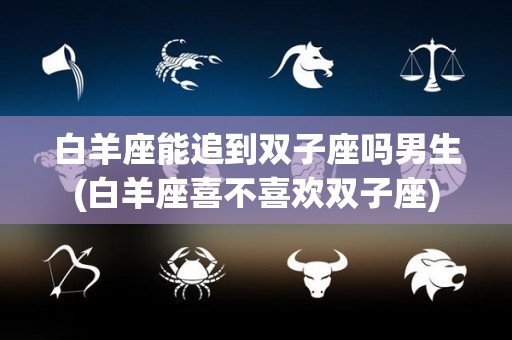 白羊座能追到双子座吗男生(白羊座喜不喜欢双子座)