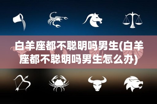 白羊座都不聪明吗男生(白羊座都不聪明吗男生怎么办)